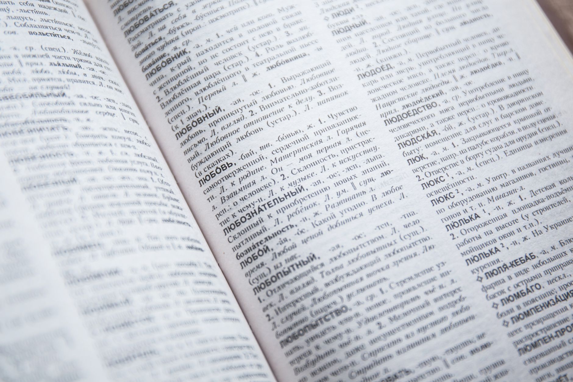 Swiss foundation glossary of terms